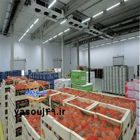 احداث سردخانه ۴ هزار تنی در کاکان؛ حذف واسطه‌ها و توسعه صادرات 