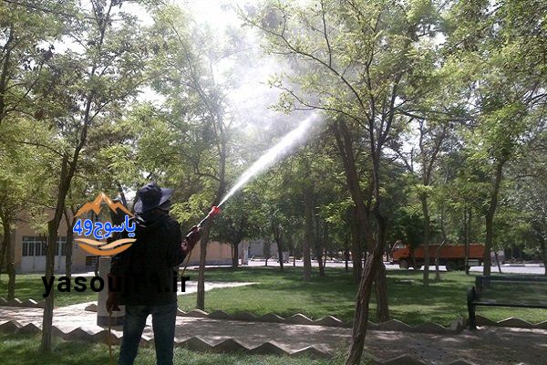 سمپاشی و آفت‌زدایی فضای سبز یاسوج/توصیه‌های شهرداری به مردم
