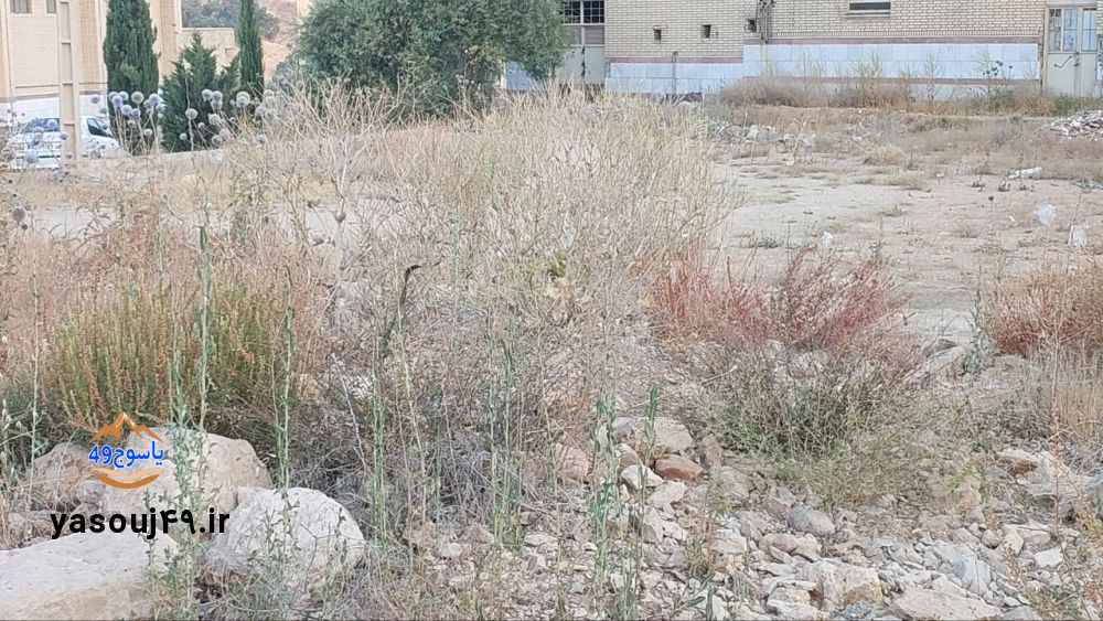 مجموعه فرهنگی ورزشی کوثر یاسوج